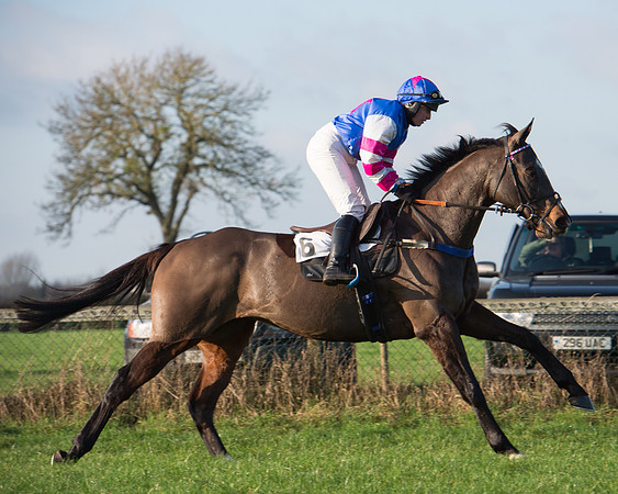 Mr Druid again-142