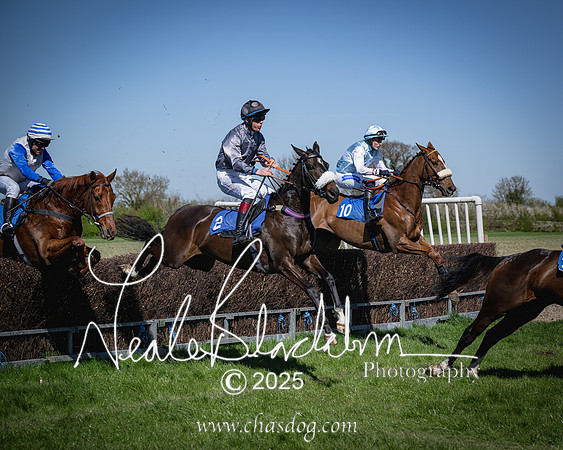 Race 2 - The Maiden (61 of 118)