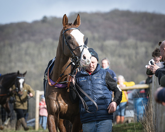 Race 3 - The Maiden Conditions (28 of 214)