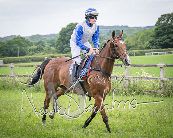 Race 2 - PPORA Members conditions race for Novice riders (33 of 127)