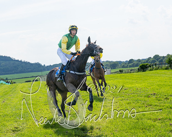 Race 5  - Maiden race 2m5F Div-1 (64 of 197)