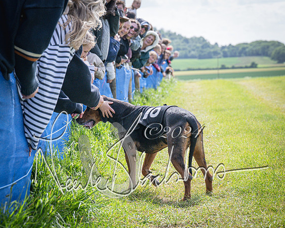 The Hound Race (57 of 68)