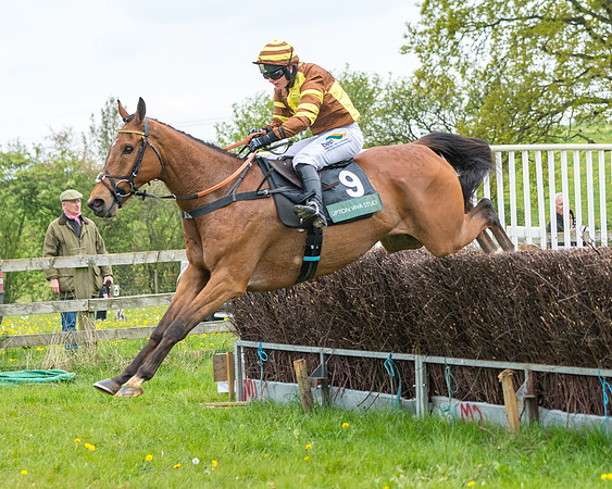 Race 2 - Jockey Club ROR veteran Horse (85 of 104)