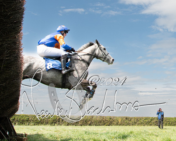 Race 2 - The Elliott of London maiden race (88 of 137)