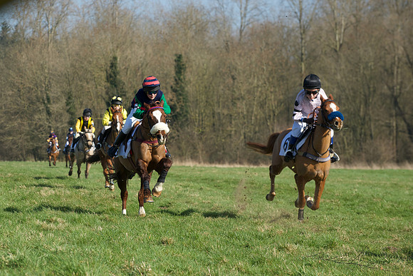 Pony Races -  23