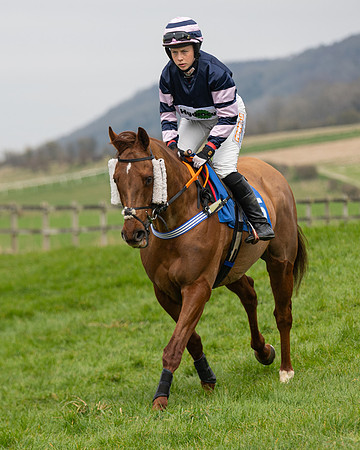Race 2 - Veteran Horse (5 of 153)