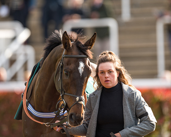 Race 2  -  Intermediate Point to Point Hunters' Steeple Chase (15 of 277)