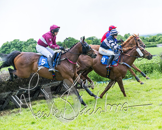 Race 3 - Conditions (229 of 367)