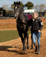 Race 1 - 4-5-6 Maiden (10 of 119).jpg