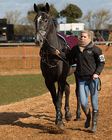 Race 1 - 4-5-6 Maiden (10 of 119).jpg