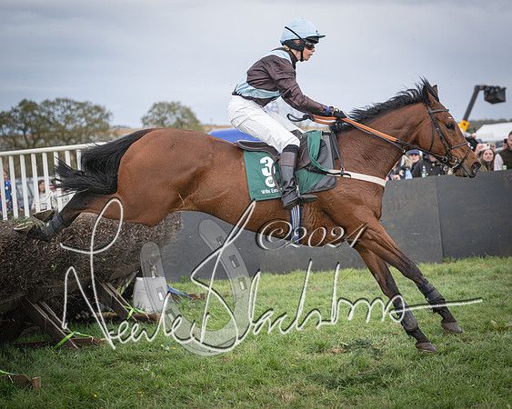 Race 3 - 5 years old and Over Maiden Race (77 of 130)