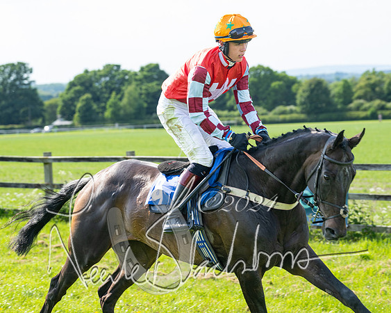 Race 5  - Maiden race 2m5F Div-1 (89 of 197)
