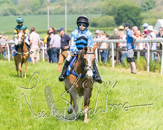 Pony Races  (7 of 141)