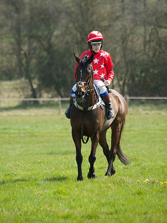Pony Race 3 -  27