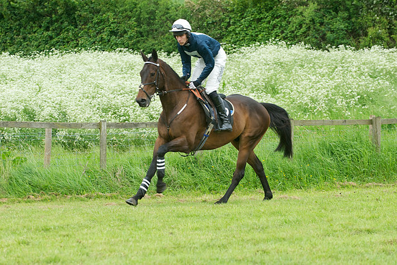 Race Six 10