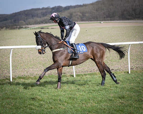 Race 3 - The Maiden Conditions (40 of 214)