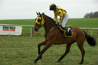 Race 5 - Restricted 18