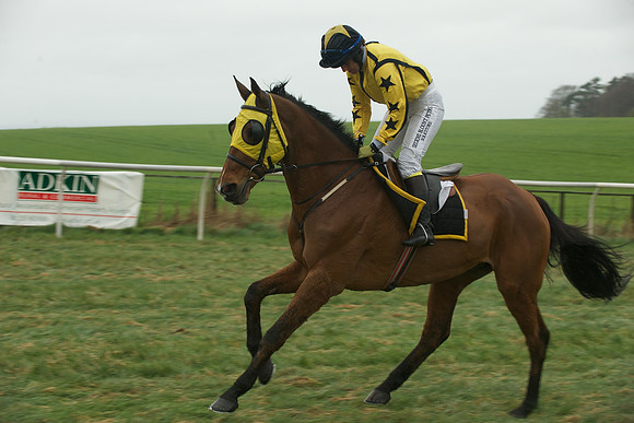 Race 5 - Restricted 18