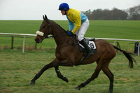 Race 5 - Restricted 14