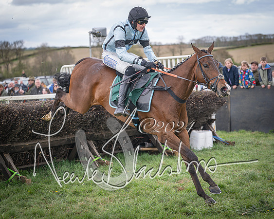 Race 2 - Tattersalls Cheltenham 4 year old Maiden (64 of 85)