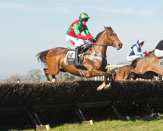 Race 1 Div 1 - 2M4F Maiden (58 of 117).jpg