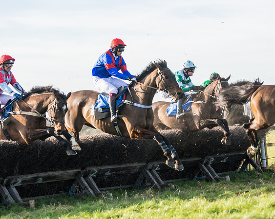 Race 5 - Restricted (56 of 146)