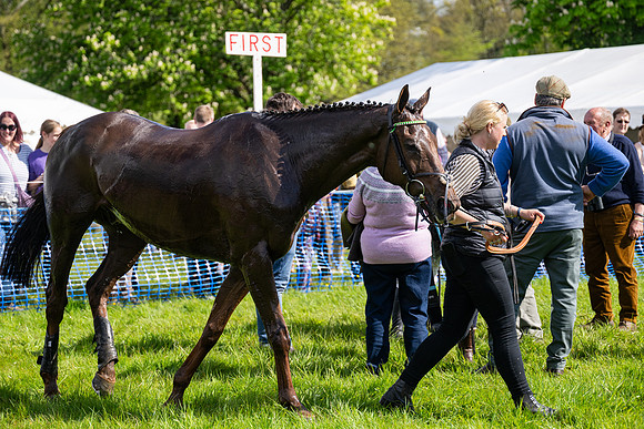 Race 4 -  2M4F Conditions  (99 of 102)