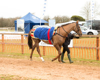 Race 6 - Open Maiden (6 of 120).jpg