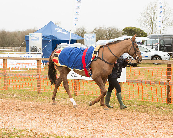Race 6 - Open Maiden (6 of 120).jpg