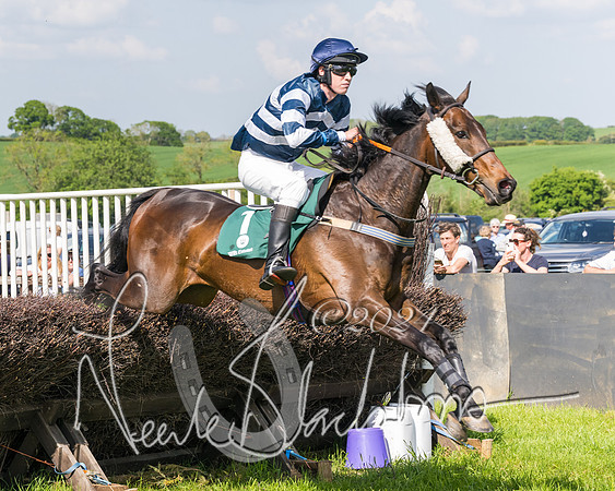 Race 4 - PPORA Novice Riders Final  (166 of 362)