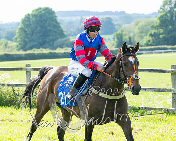 Race 5  - Maiden race 2m5F Div-2 (56 of 205)