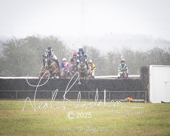 Race 2 - Restricted (7 of 70)-Enhanced-NR