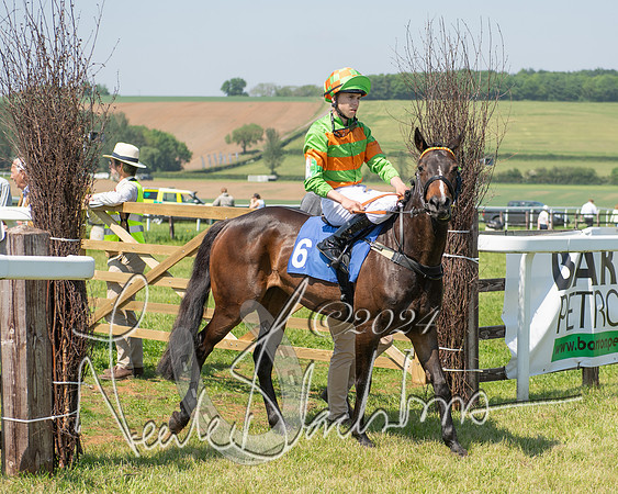 Pony Races  (109 of 141)