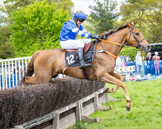 Race 5  - Maiden  (79 of 84)