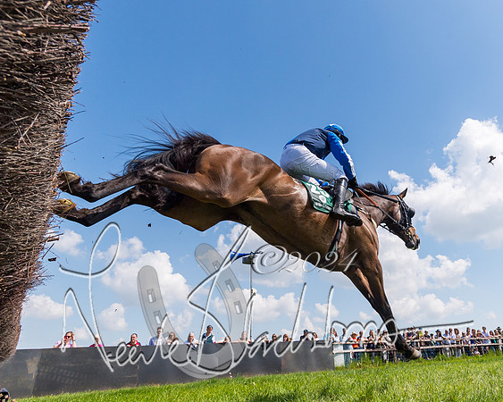 Race 2 - The Maiden  (153 of 442)