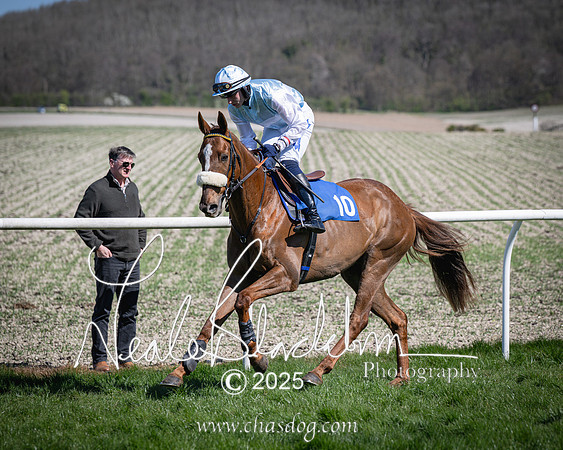 Race 2 - The Maiden (34 of 118)