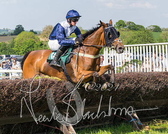 Race 4 - PPORA Novice Riders Final  (168 of 362)
