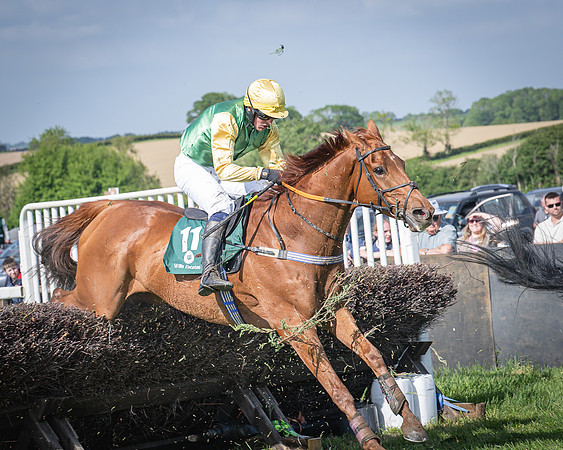 Race 5 - Restricted (92 of 116)