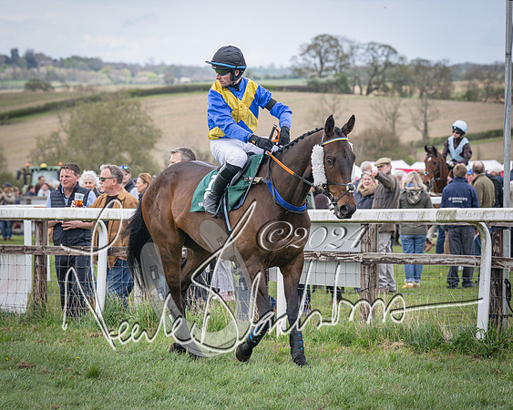 Race 3 - 5 years old and Over Maiden Race (21 of 130)