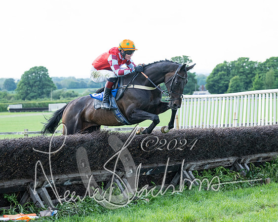 Race 5  - Maiden race 2m5F Div-1 (138 of 197)