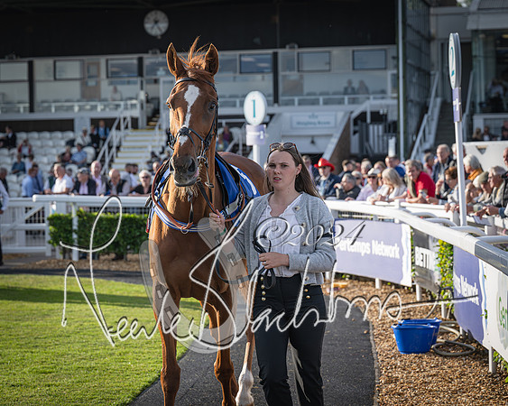 Race 4 - Peretemps Stratford Foxhunters (9 of 168)