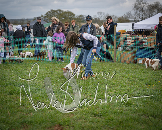 Bicester - Dog Show (48 of 106)