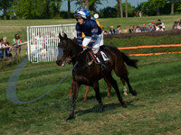 picture-2
