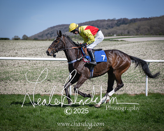 Race 2 - The Maiden (30 of 118)
