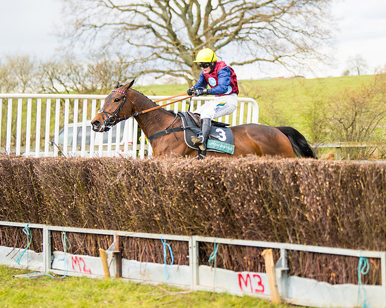 Race 5 - Restricted  (51 of 118)