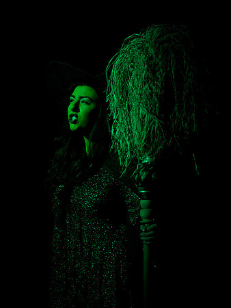 The Wizard of OZ -  185