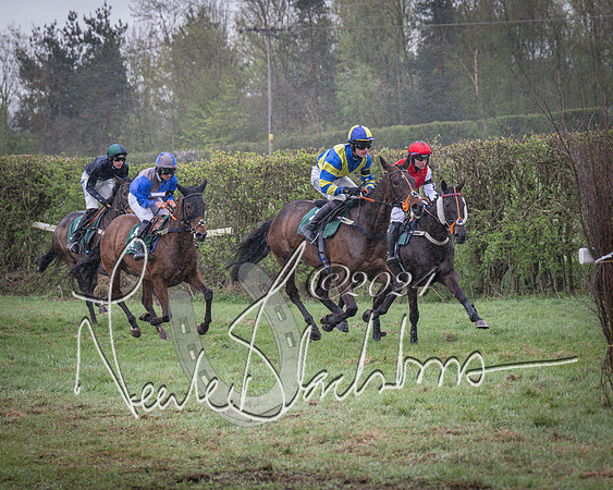 Race 7 - The Jockey Club maiden race for Mares and Fillies only (37 of 96)