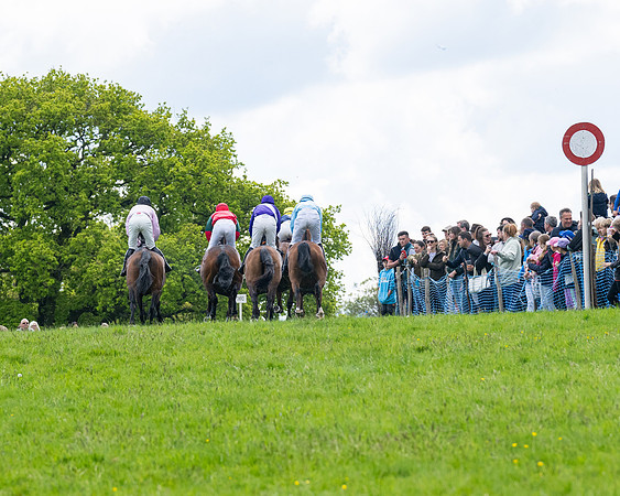Race 2 - Veteran Horse (26 of 80)