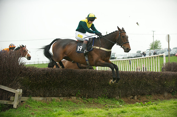 Race 2 - Novices 32