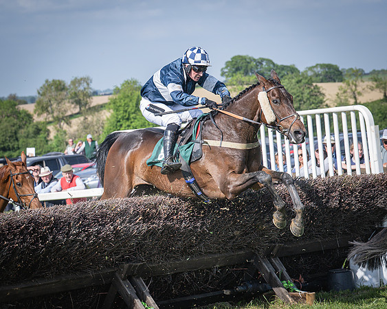 Race 5 - Restricted (86 of 116)